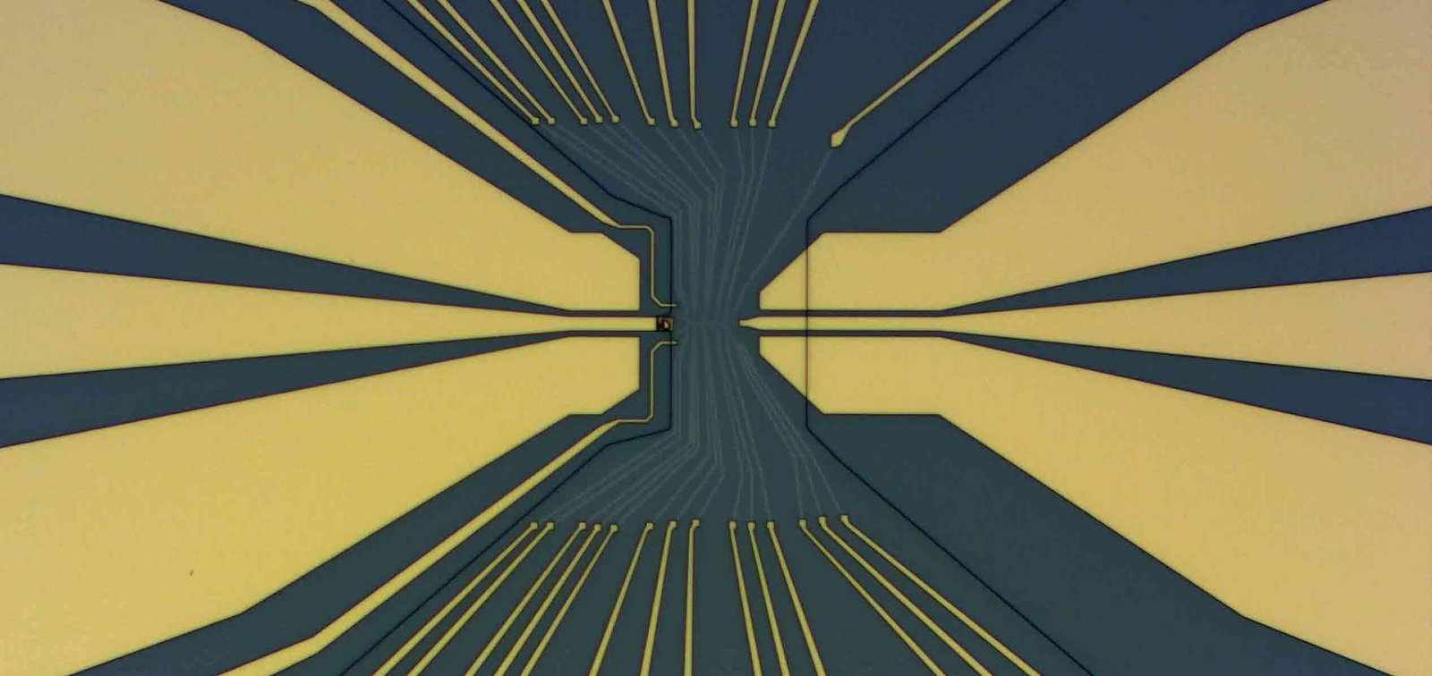 Micrograph of a fabricated quantum nanoelectronic device with surface gates
